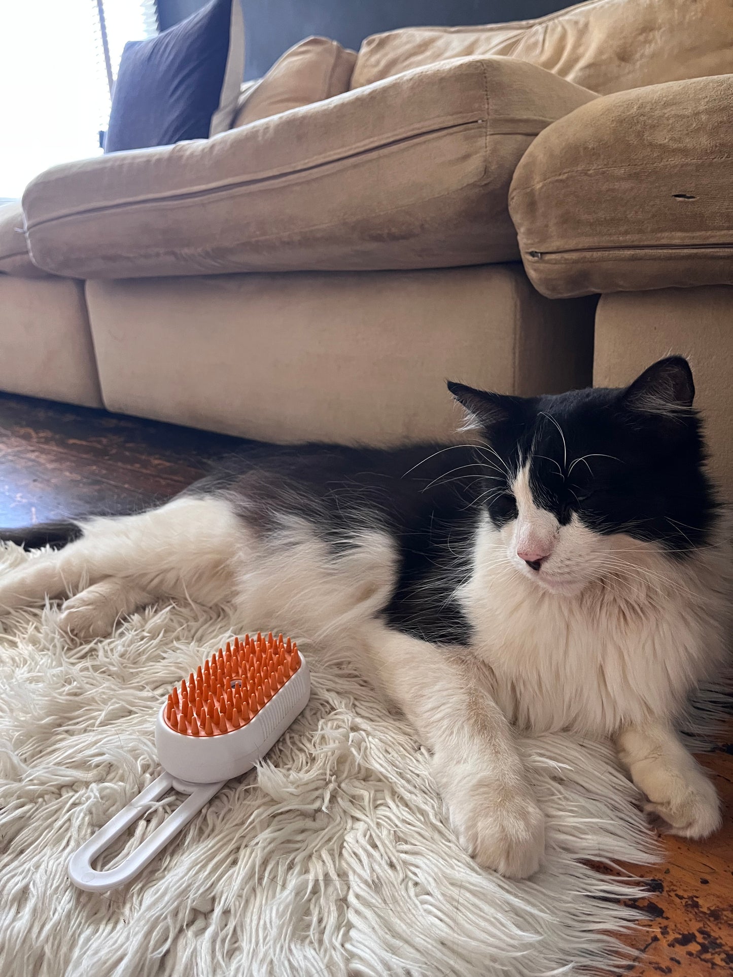 3 in 1 Steamy Brush