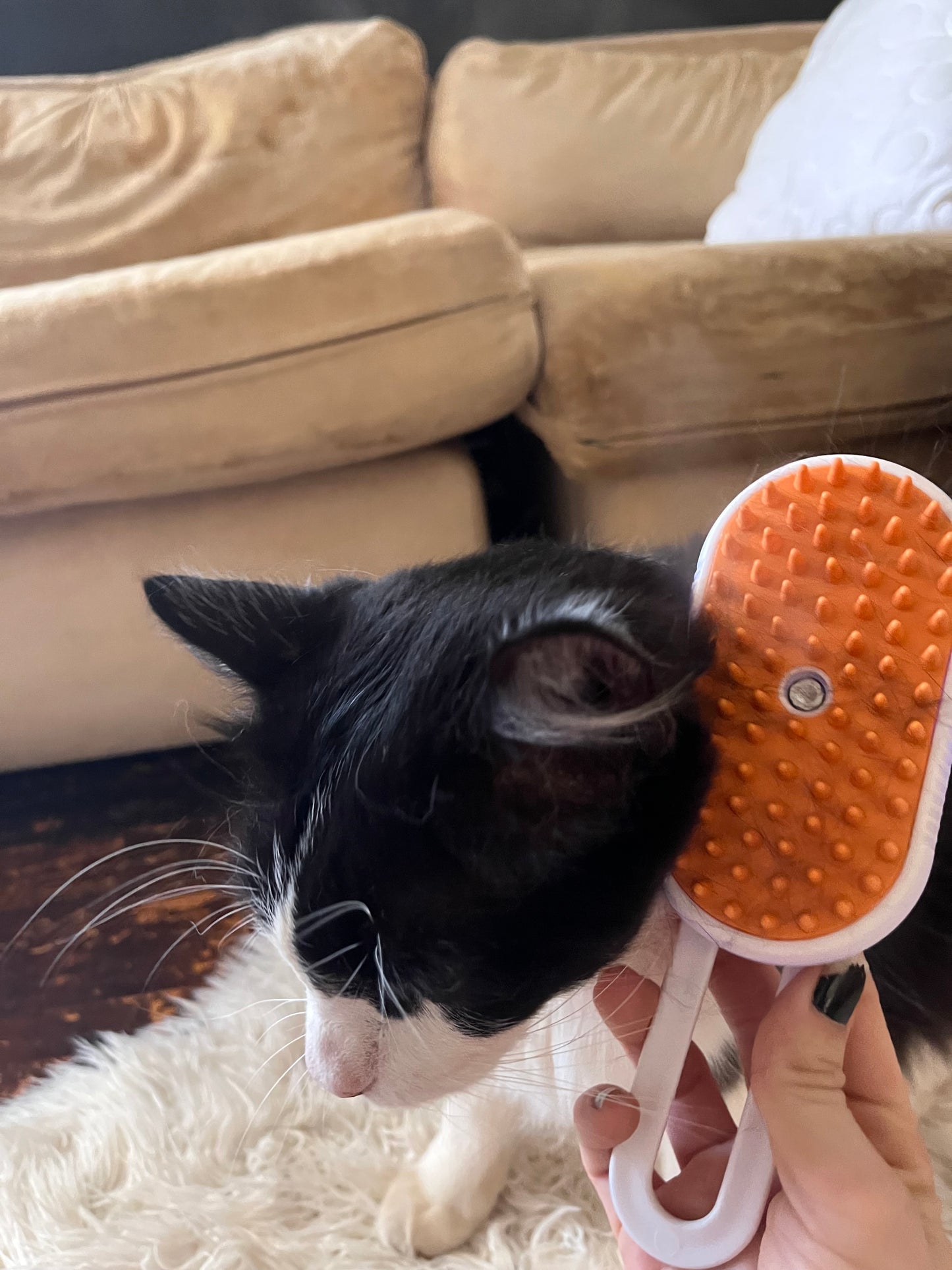 3 in 1 Steamy Brush