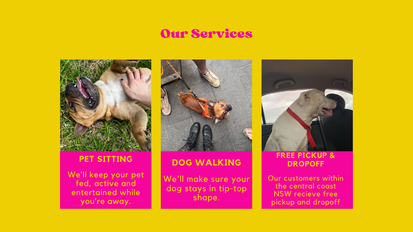 Dog Walking Service