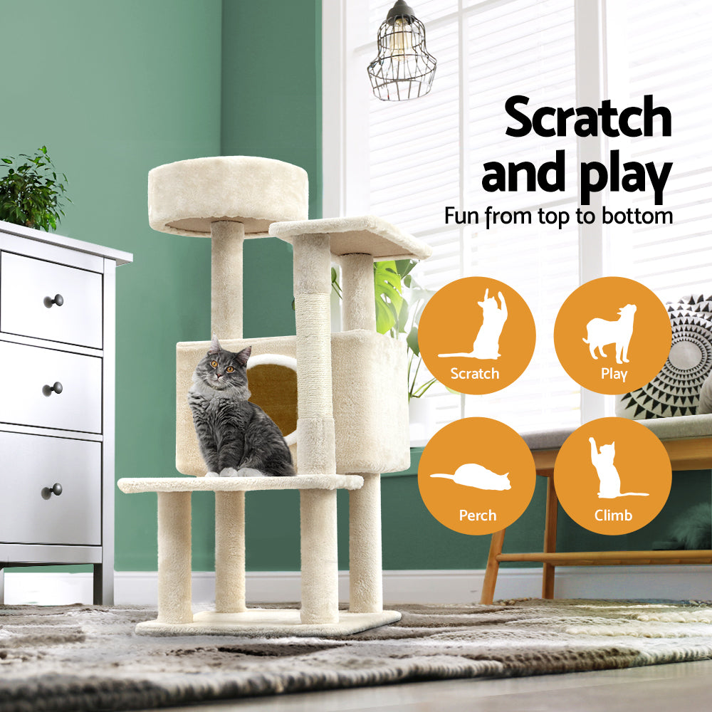 Cat Scratcher Condo