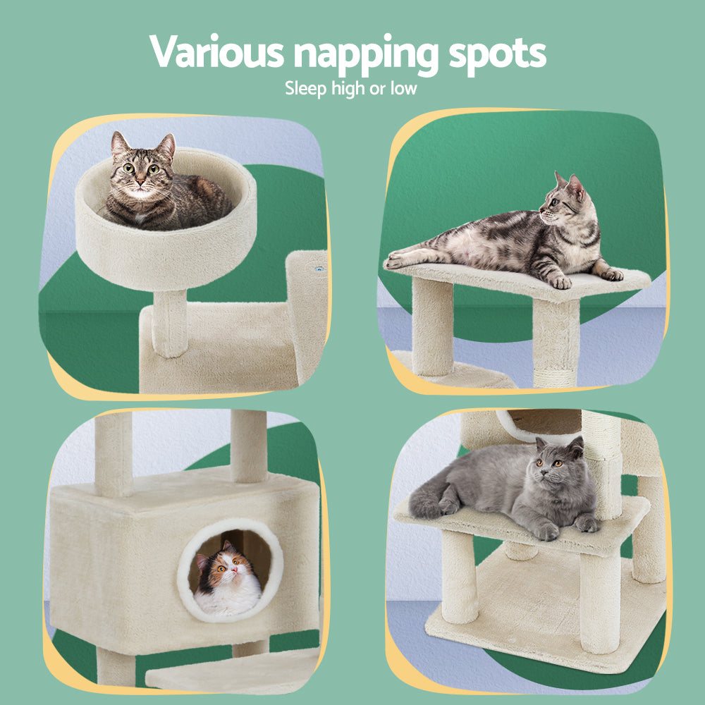Cat Scratcher Condo