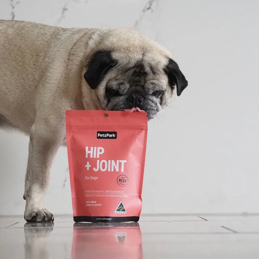 The Ultimate Guide to Pet Supplements: What You Need to Know