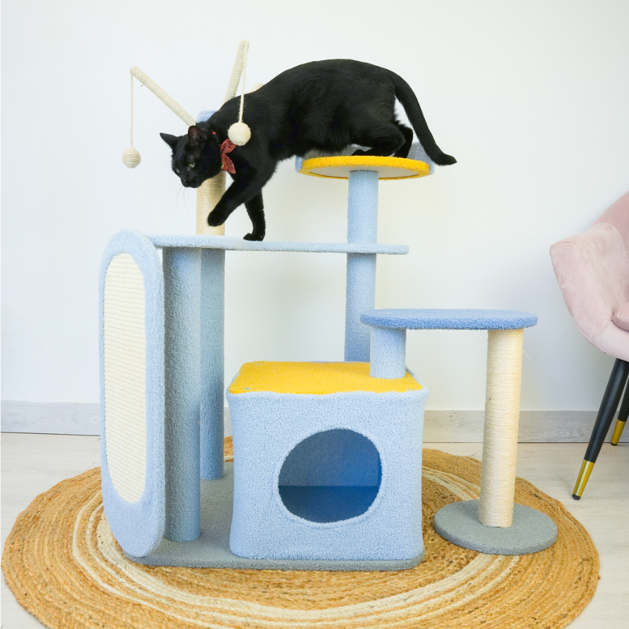 Cat Scratching Posts & Condos