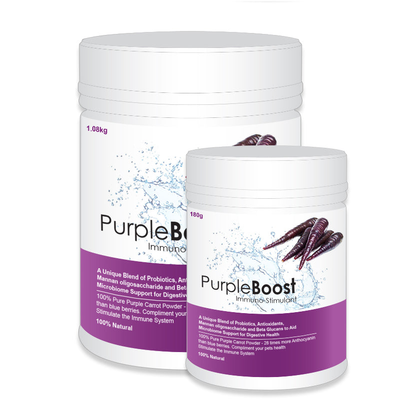 Purple Boost Immune Stimulant