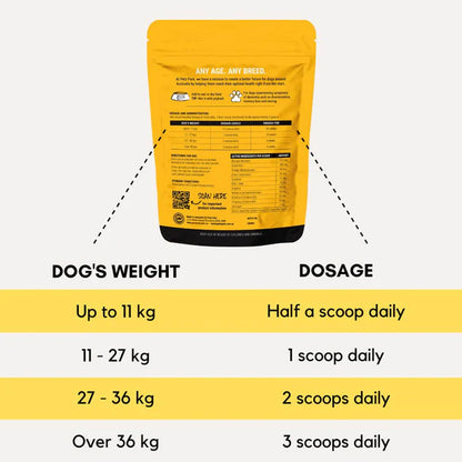 Brain Support For Dogs