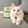PetzPark Probiotic Supplement for Cats