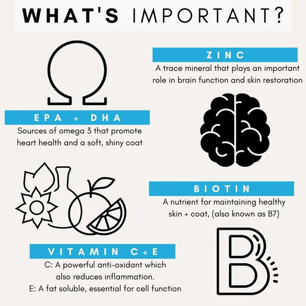 PetzPark Skin & Coat Supplement for Dogs