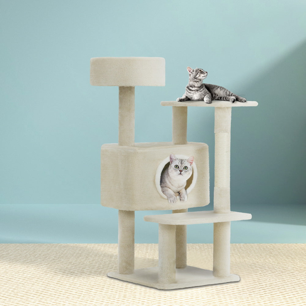 Cat Scratcher Condo