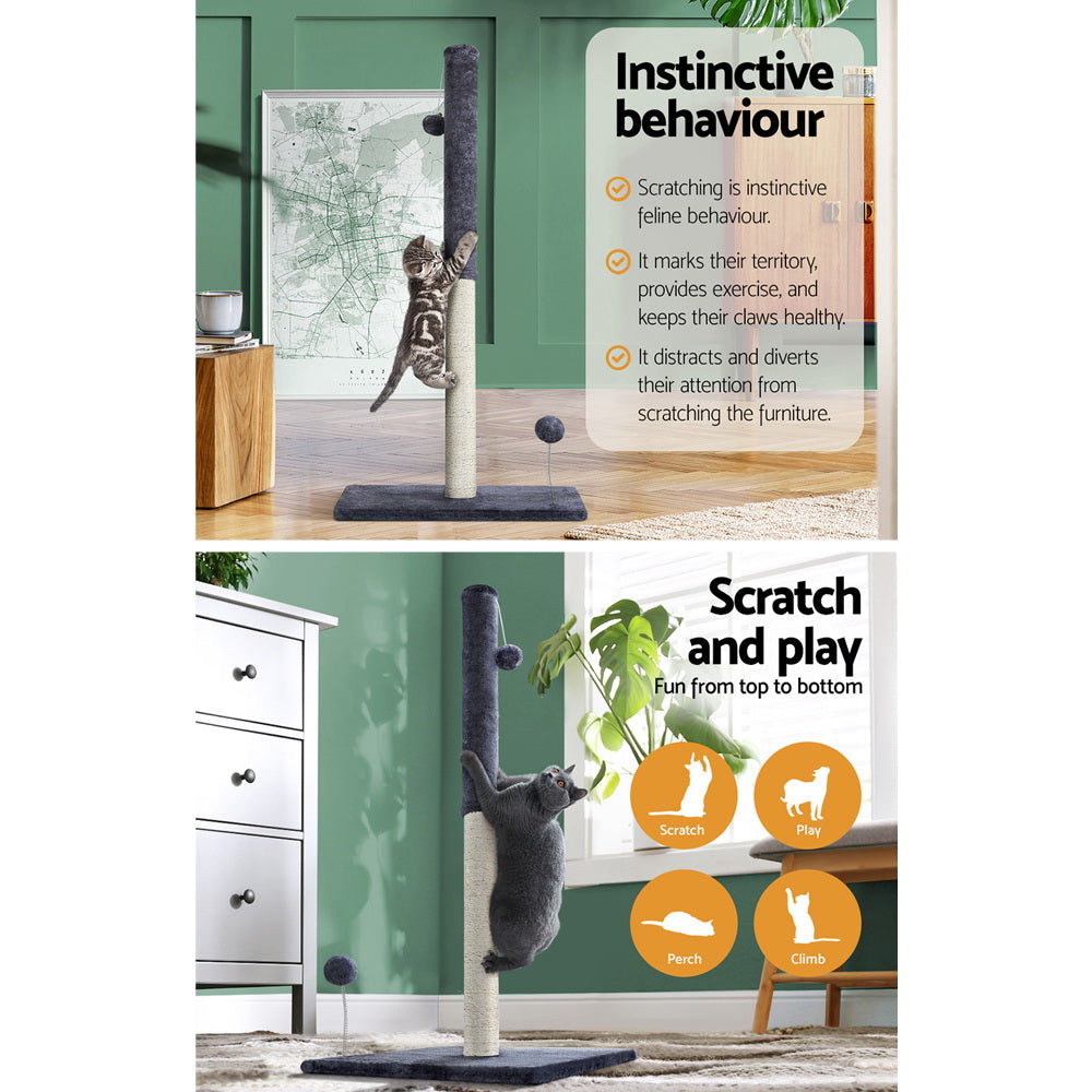 Cat Scratching Post and ball