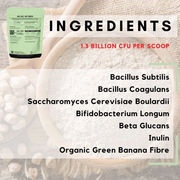 PetzPark Probiotic Supplement for Cats