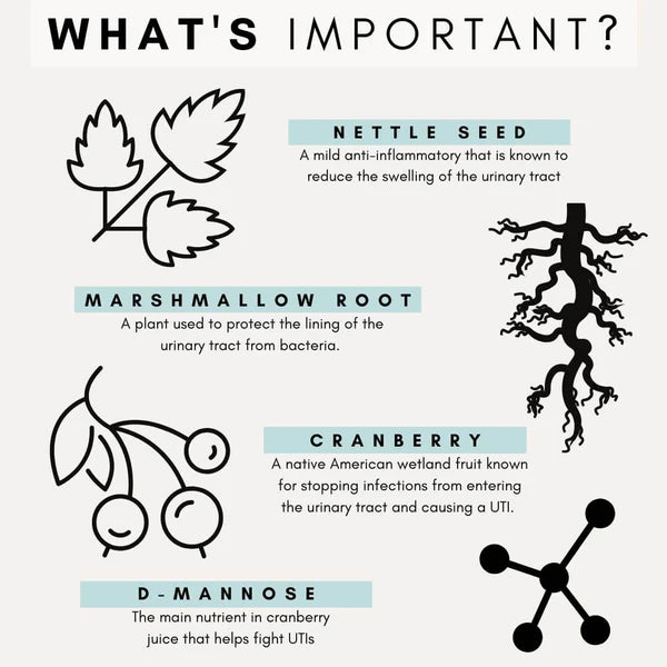 PetzPark Urinary+Kidney Supplement For Cats