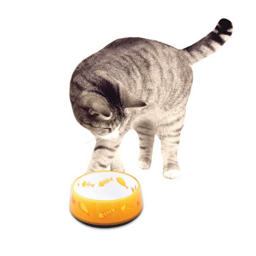 Cat Bowl Orange
