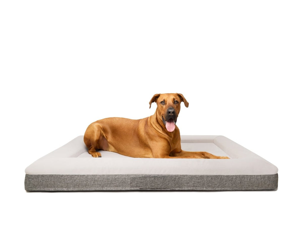 Fur King Orthopedic Dog Bed
