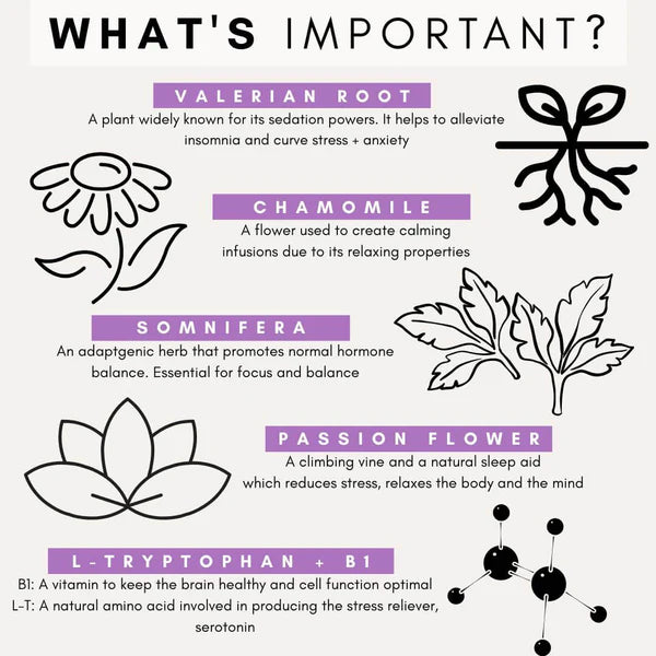 PetzPark Stress & Anxiety Supplement for Dogs