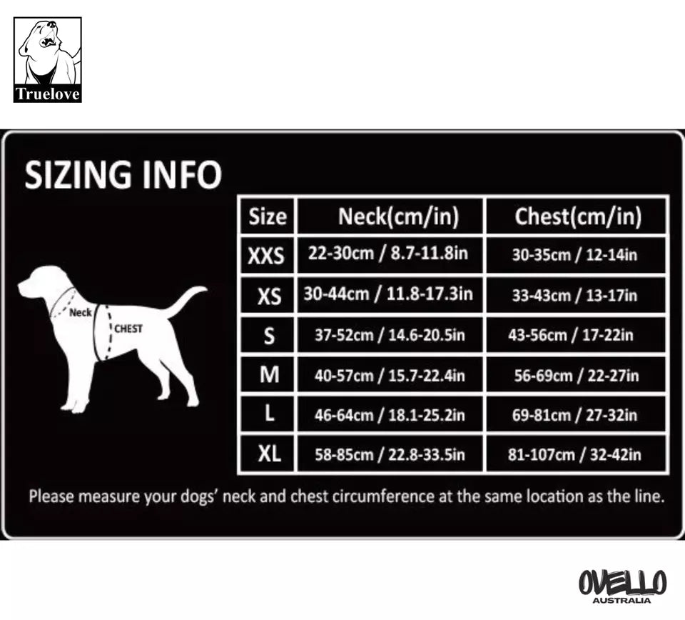 Lightweight Dog Harness