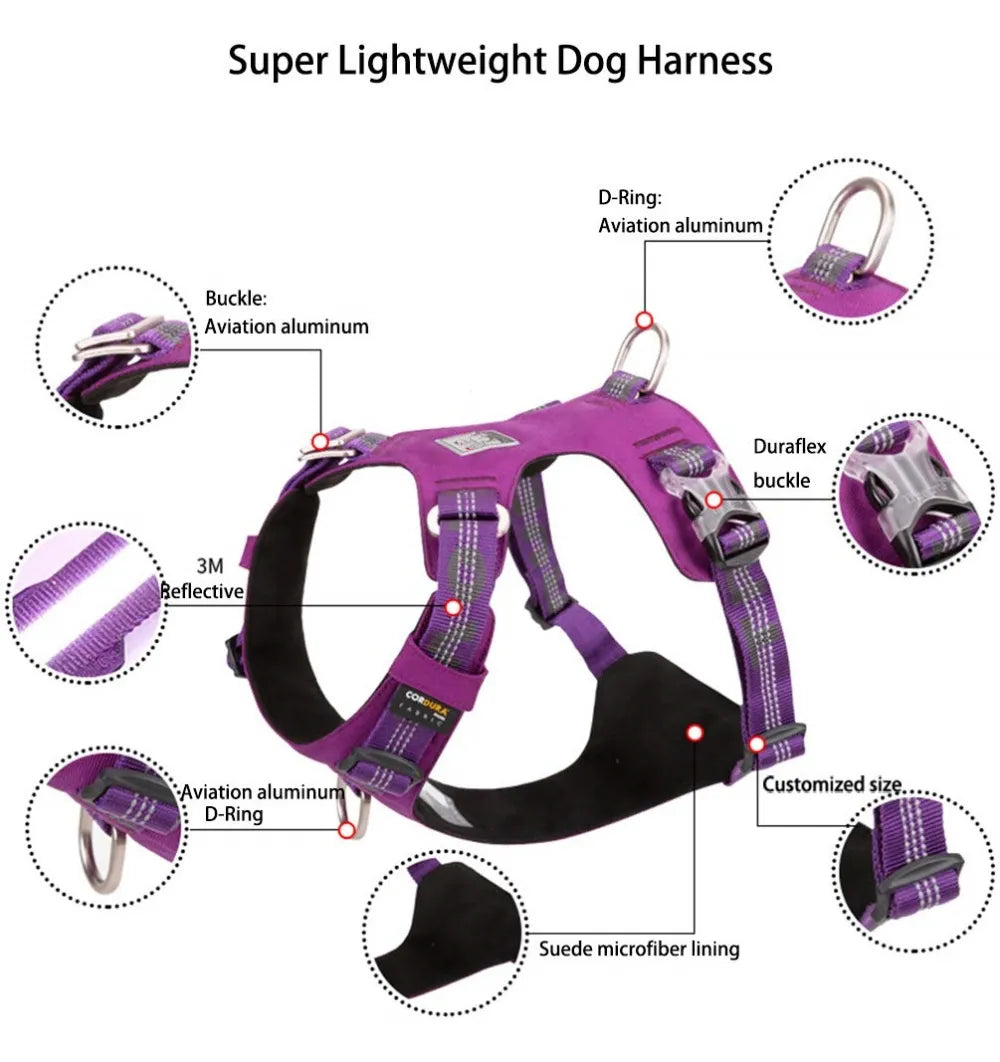 Lightweight Dog Harness